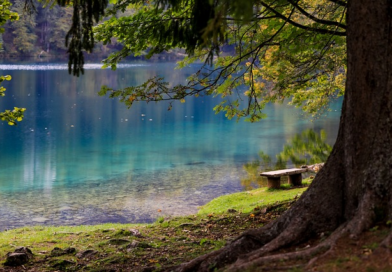 Campen in der Heimat – Landkreis Sigmaringen